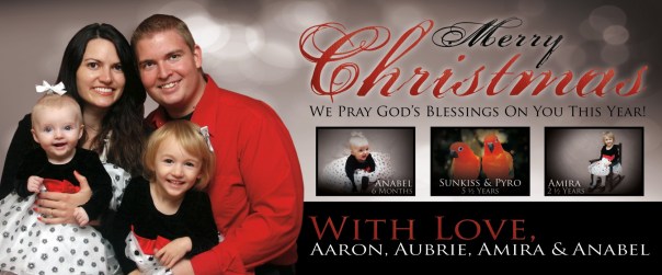 Vance Christmas Card 2012